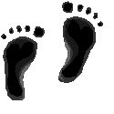 Newborn MD Feet Logo